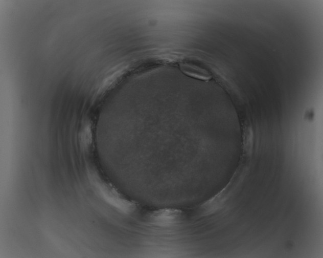 X0000110710128200906261440