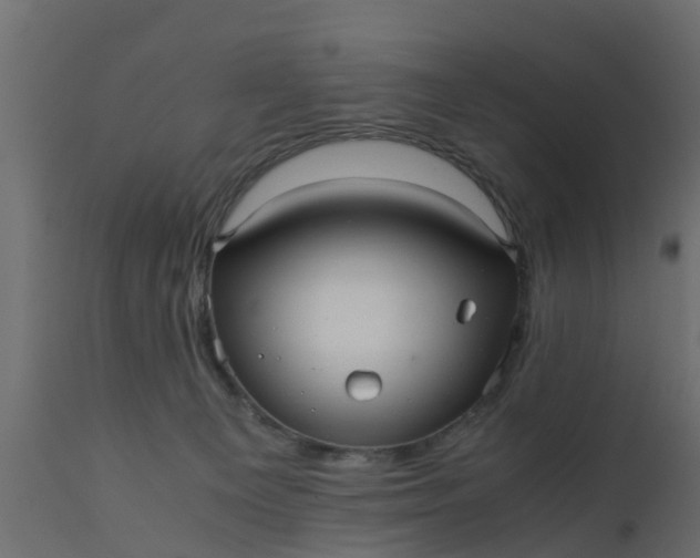 X0000110710129200906261440