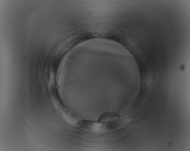X0000110710130200906261440