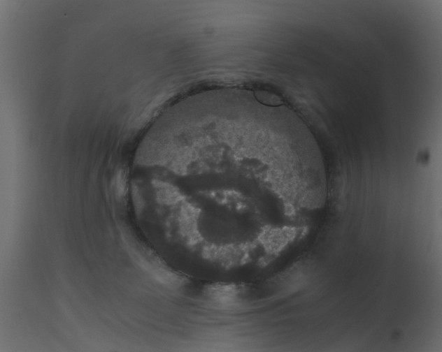 X0000110710131200906261440