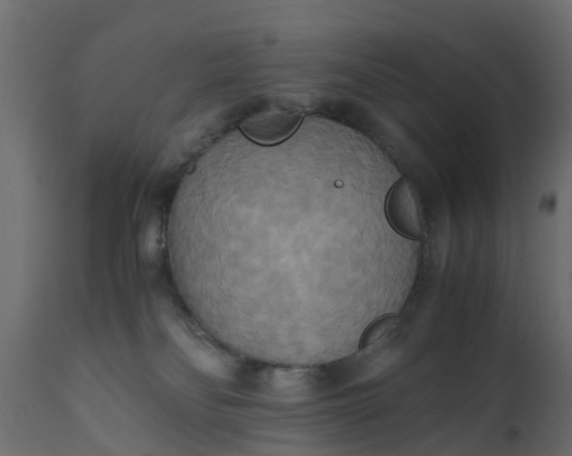 X0000110710134200906261440
