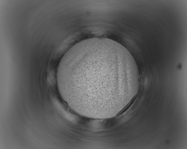 X0000110710136200906261440