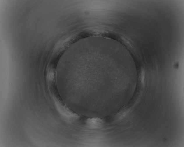 X0000110710137200906261440