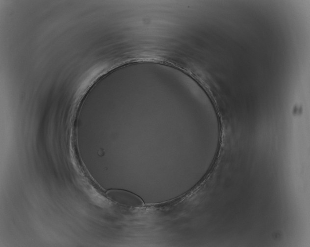 X0000110710145200906261439