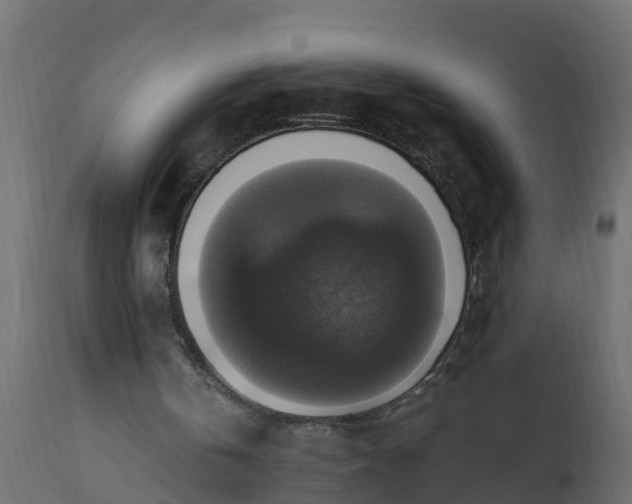 X0000110710146200906261439