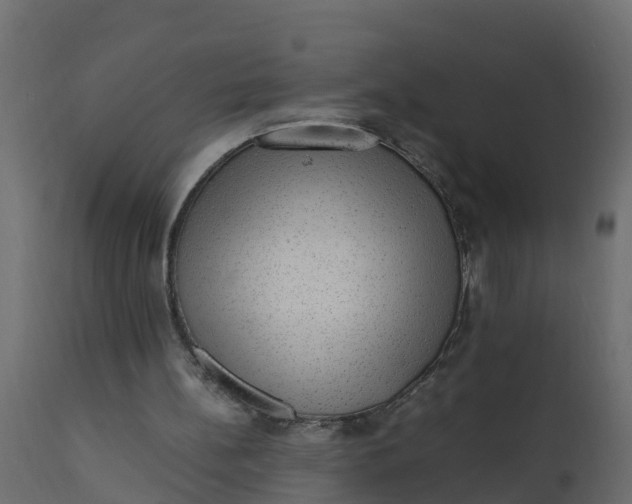 X0000110710148200906261439