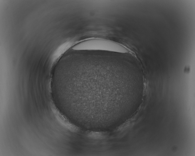 X0000110710149200906261439