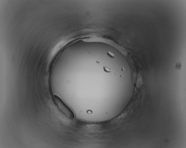 X0000110710150200906261439