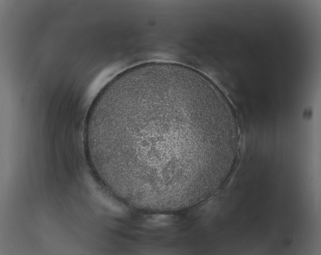 X0000110710151200906261439
