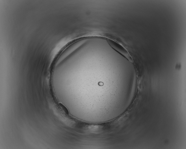 X0000110710152200906261439