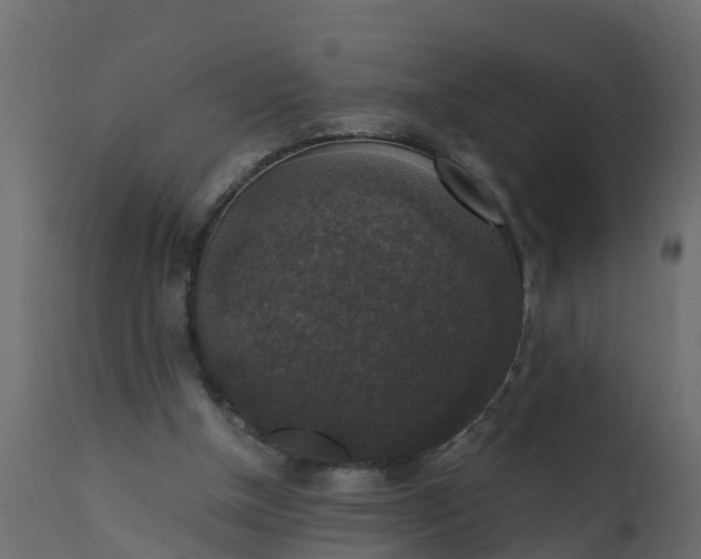 X0000110710154200906261439