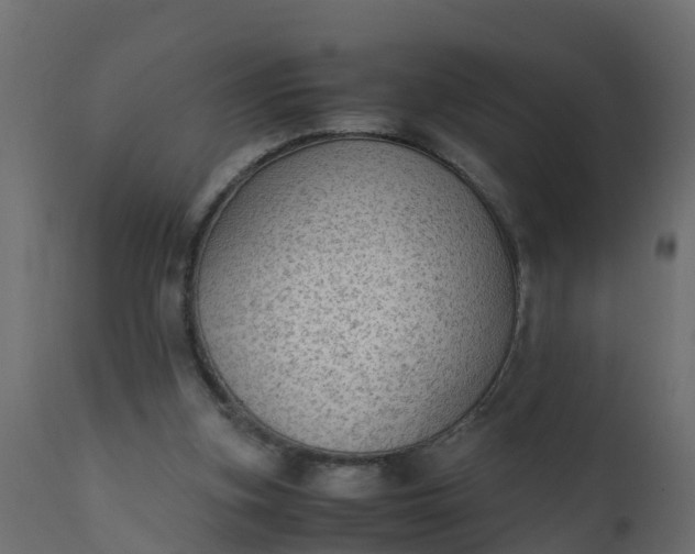 X0000110710155200906261439