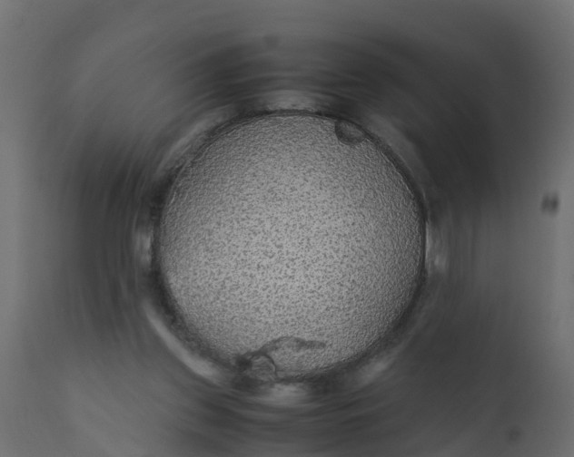 X0000110710157200906261440