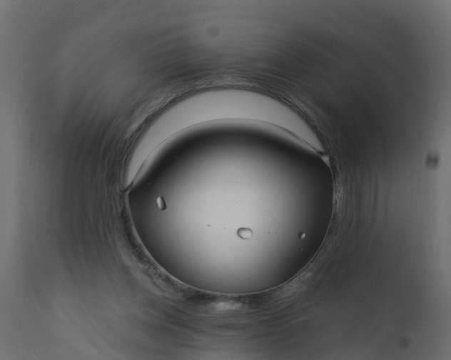 X0000110710158200906261440