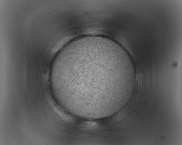 X0000110710159200906261440