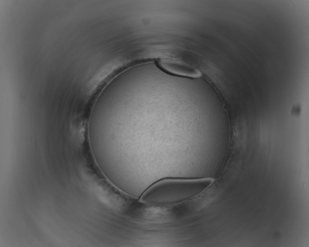X0000110710160200906261440