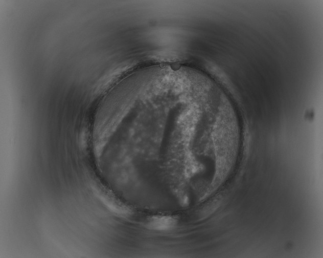 X0000110710161200906261440