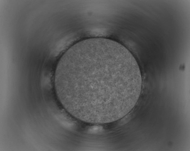 X0000110710162200906261440