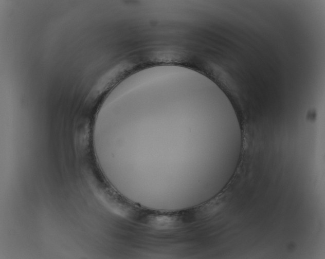 X0000110710163200906261440