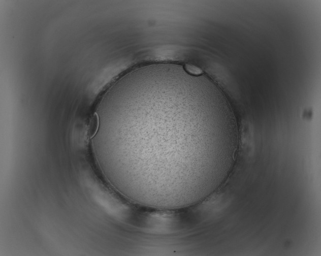 X0000110710164200906261440