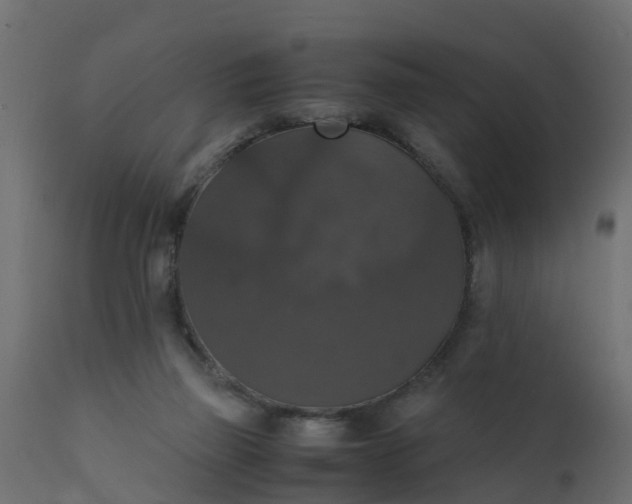 X0000110710165200906261440