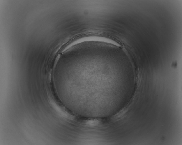 X0000110710168200906261440