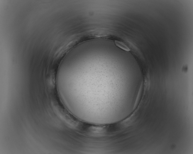 X0000110710170200906261440