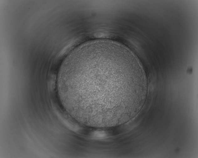 X0000110710171200906261440
