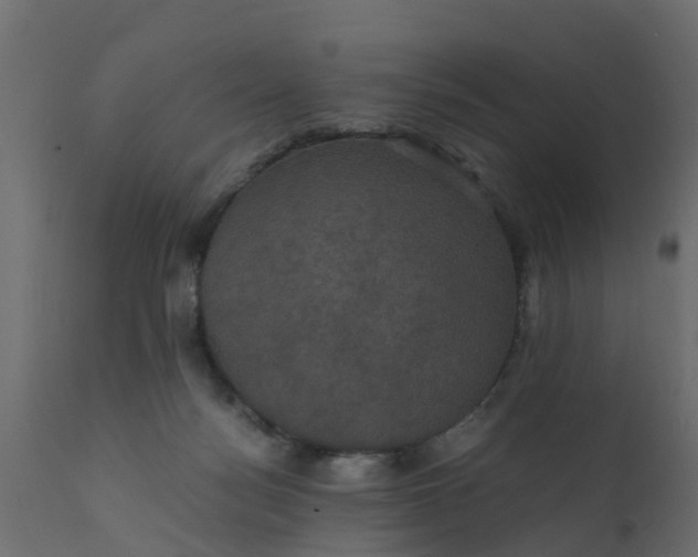 X0000110710172200906261440