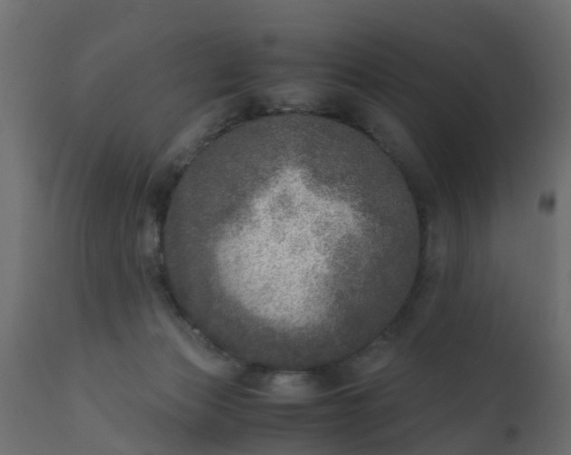 X0000110710173200906261440