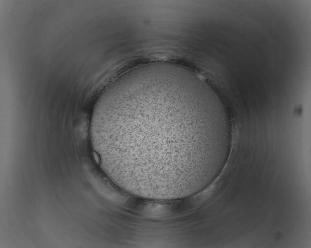 X0000110710174200906261440