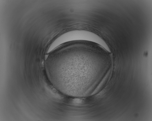 X0000110710176200906261440