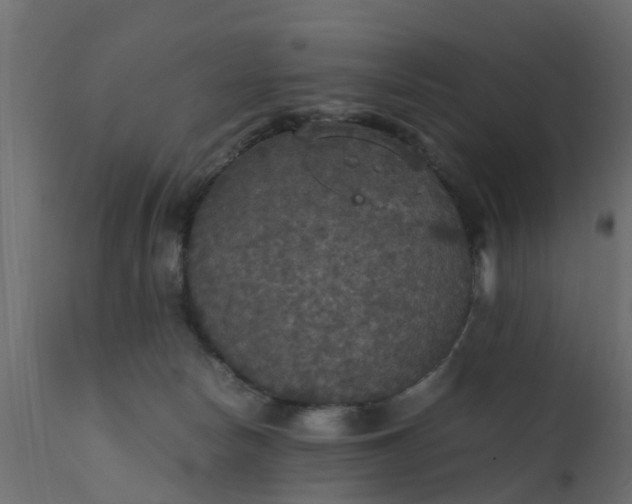 X0000110710178200906261440