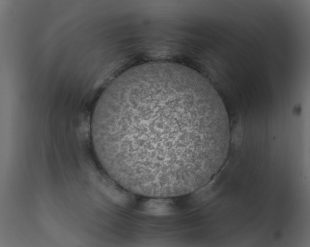 X0000110710179200906261440