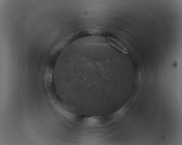 X0000110710180200906261440