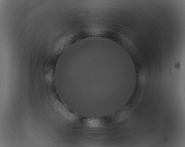 X0000110710181200906261440