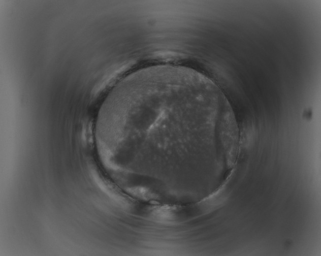 X0000110710182200906261440