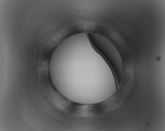 X0000110710184200906261440