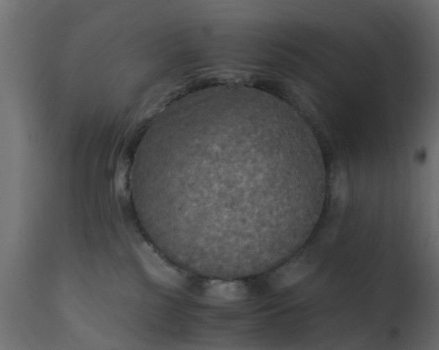 X0000110710185200906261440