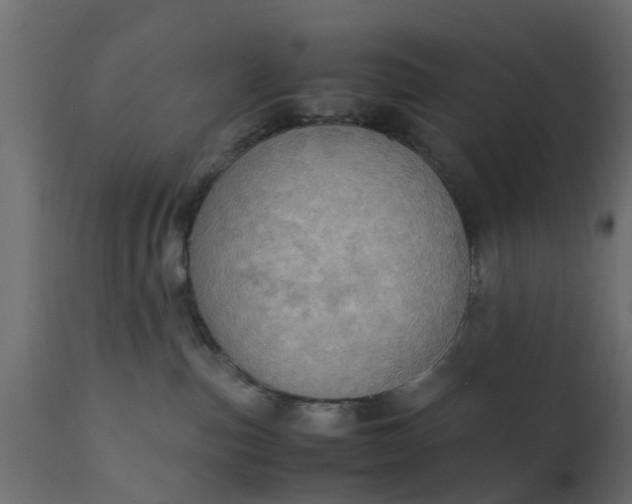 X0000110710187200906261440
