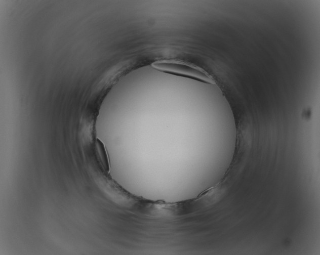 X0000110710188200906261440