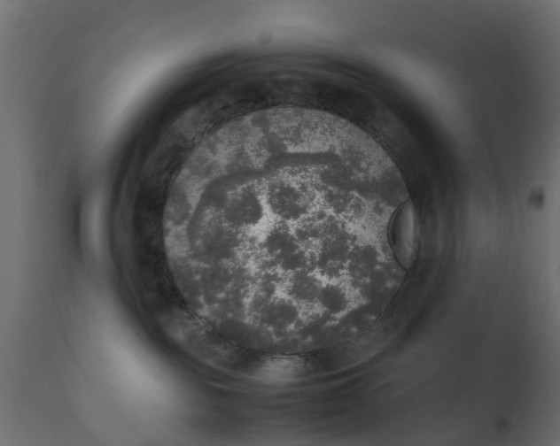 X0000110710189200906261440
