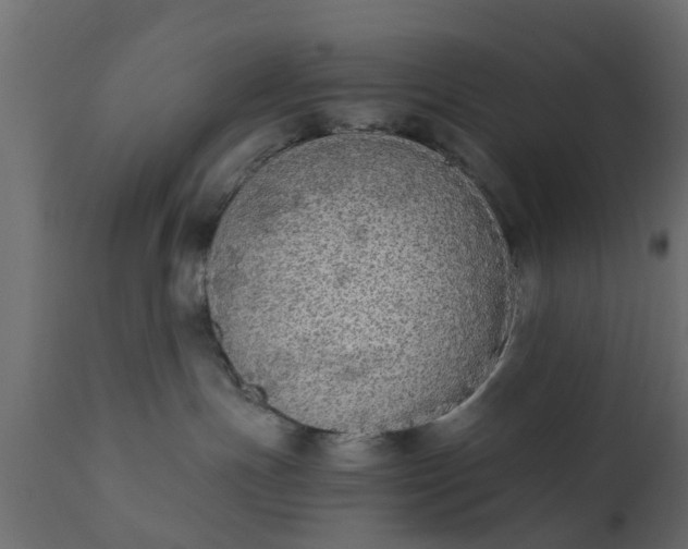 X0000110710191200906261440