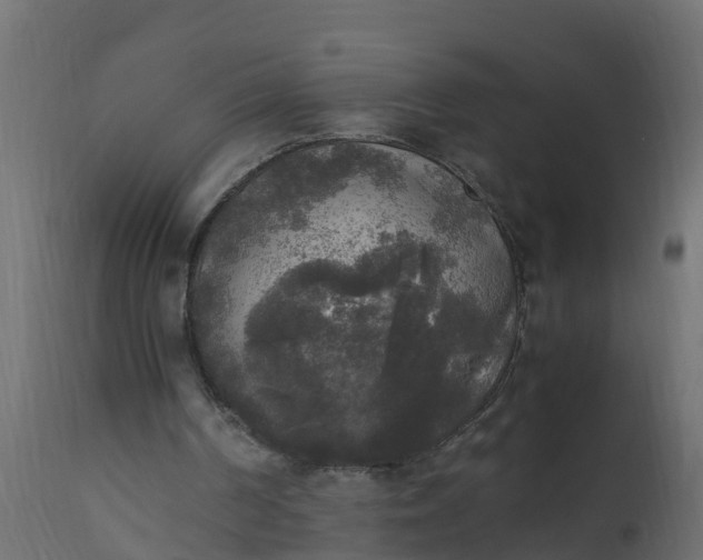 X0000110710194200906261439
