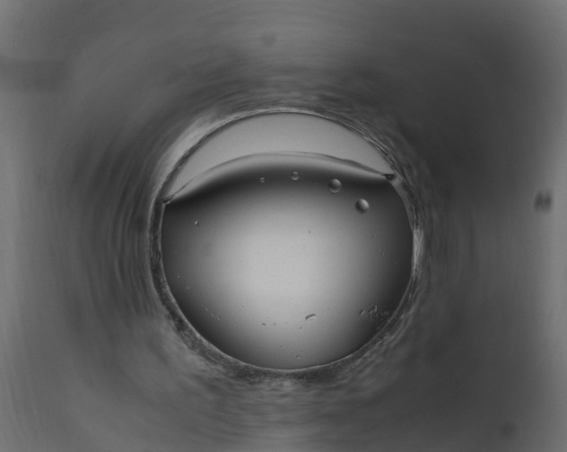 X0000110710195200906261439