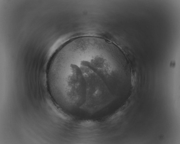 X0000110710198200906261439