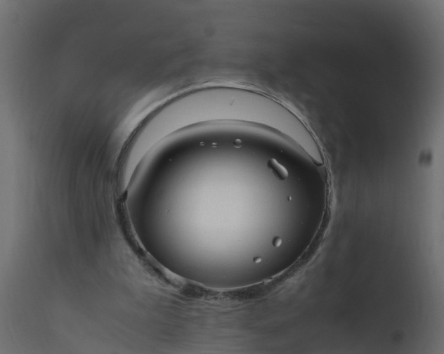 X0000110710199200906261439