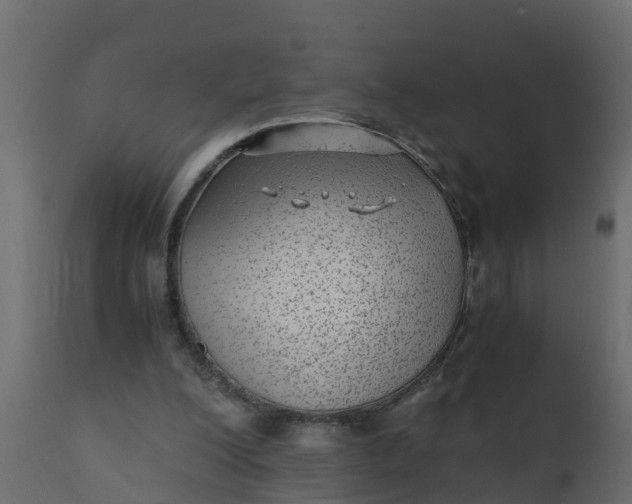 X0000110710200200906261439
