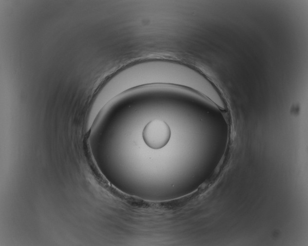 X0000110710201200906261439