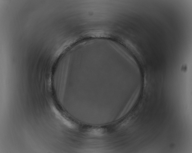 X0000110710202200906261439